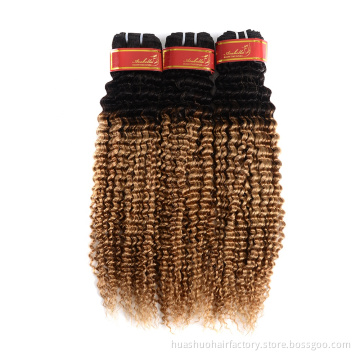 1B27 Ombre Color Unprocessed Virgin Russian Kinky Curly Human Hair Bundles For Dropshipping